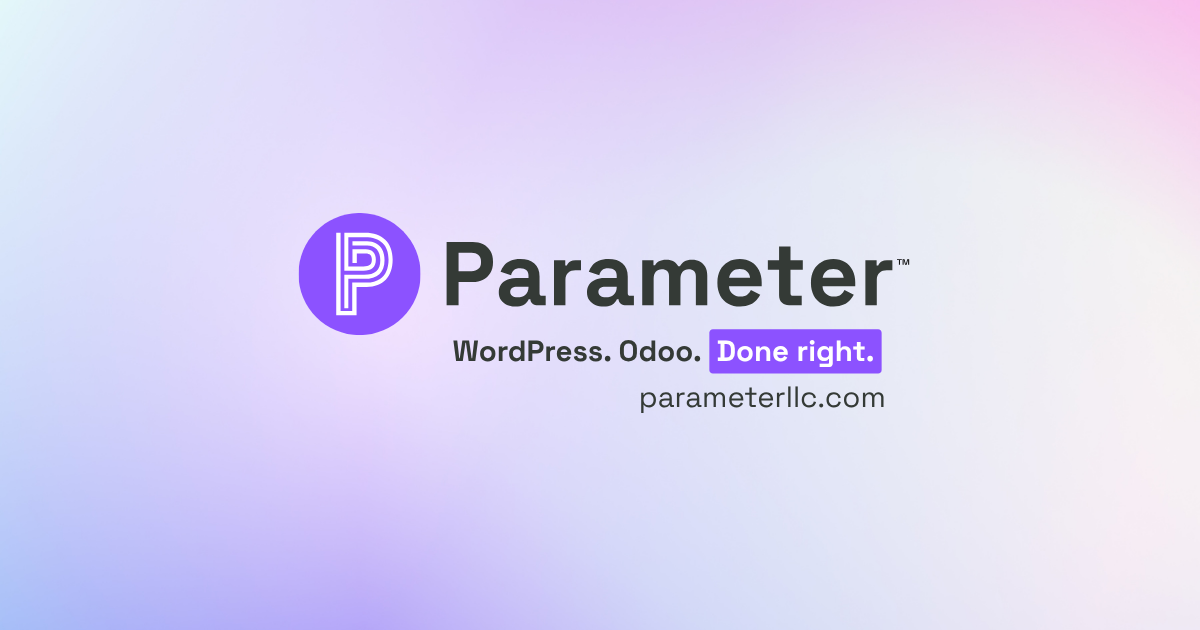 Parameter — WordPress Audit: What We Check & How