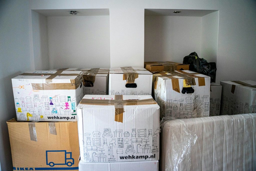 WordPress Site Migration Service: What Matters