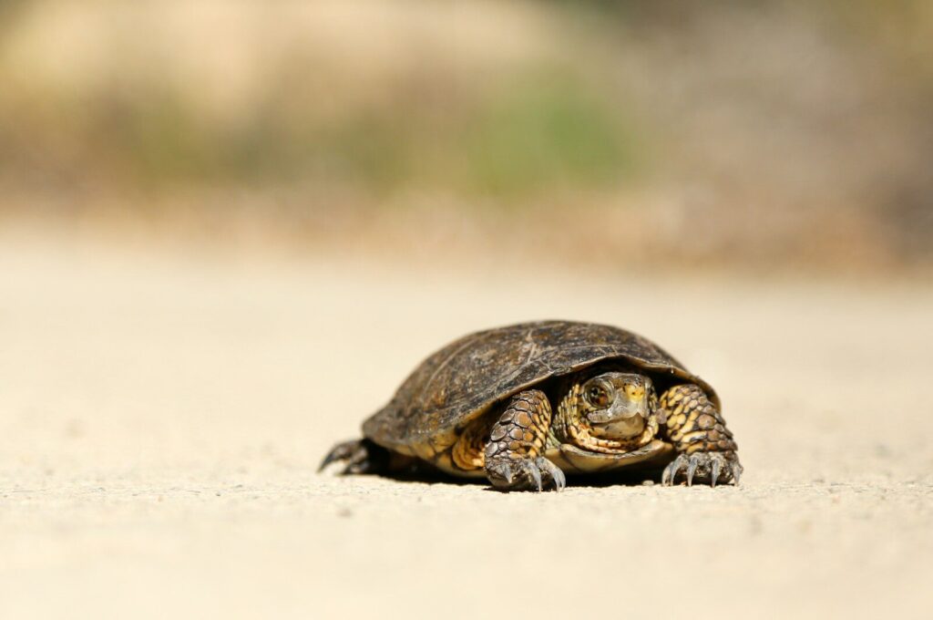 Slow WordPress Site Fix That Actually Holds