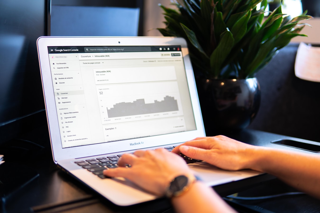 Plugin Audit for Business Websites